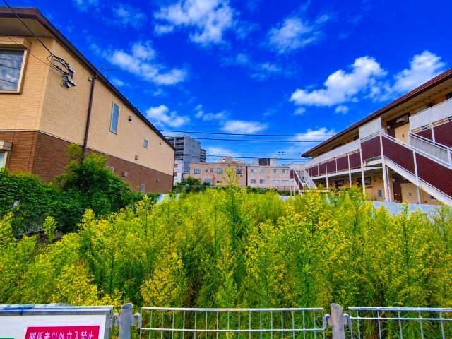武蔵野市御殿山2丁目 中央線 三鷹駅 売地の外観|緑豊かな草木が茂る敷地内の様子です。周囲を住宅や集合住宅に囲まれた区画で、日当たりや周辺の建物との位置関係を確認できます。  
