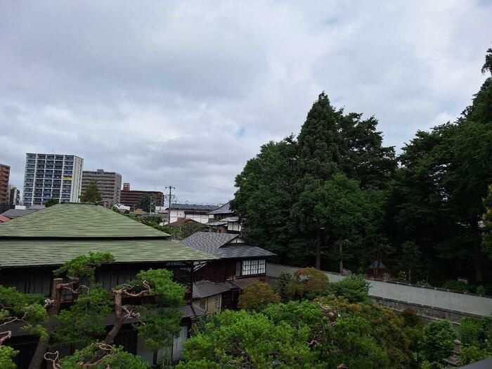 TORISIA大慈寺町　Aの展望