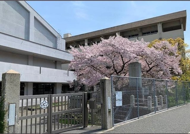 シーサイドスクエアーⅡの周辺|仁方小学校まで3000m