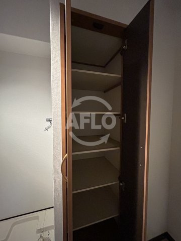 アエラスの収納|洗面所収納