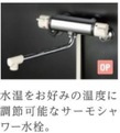 フォルティスのその他