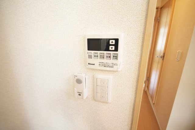 アティレジャンのその他