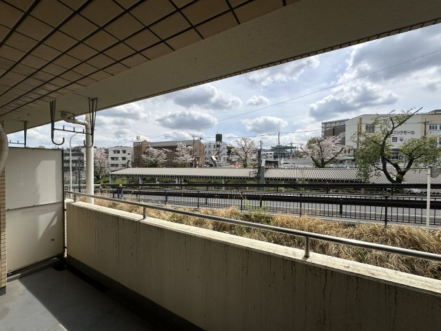 川崎市麻生区百合丘１丁目の賃貸マンションの展望