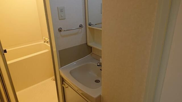 ピュアサクシードともの洗面所