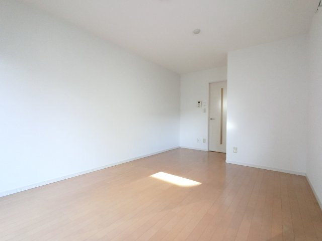 レオ参拾七番館のその他