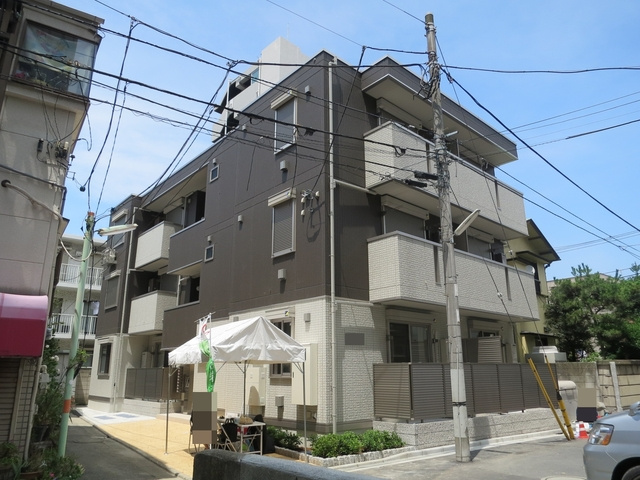 シダーテラス