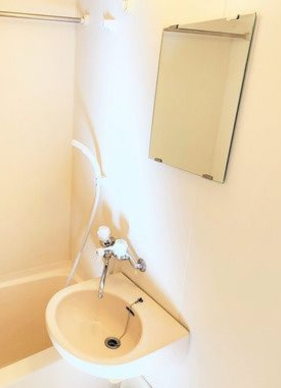 フロイデンハイムの洗面所