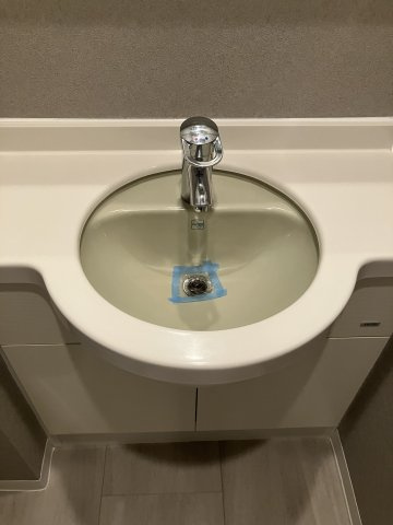 プライムアーバン日本橋茅場町の洗面所|屋上ドックラン