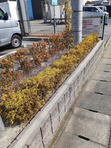 マジェスティックⅠのその他