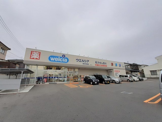 ルピナス　Ｋの周辺|ウエルシア新潟寺尾店まで300m