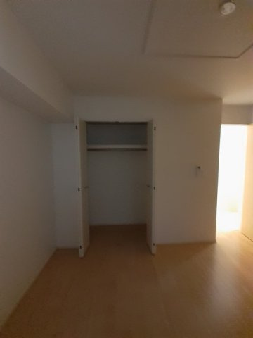コンフォート大河の収納