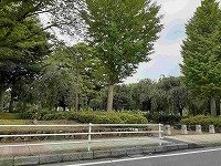 吉羽公園まで450m