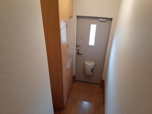 きれいな玄関です