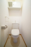 落ち着いた色調のトイレです