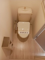 落ち着いた色調のトイレです