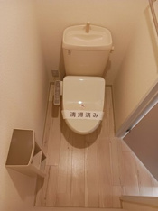 落ち着いた色調のトイレです