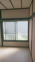 きれいな和室です