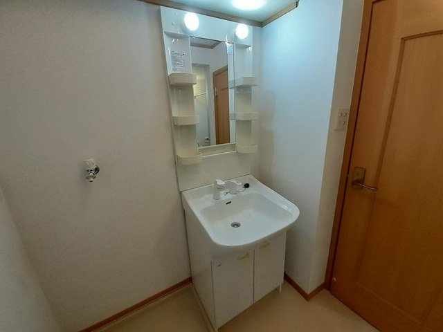 ラフィネ花瀬　弐番館の洗面所
