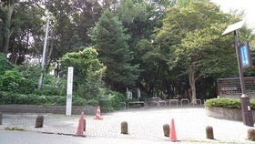 コートウッズ３３のその他|林試の森公園