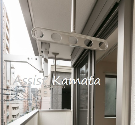 エクセル藤の展望