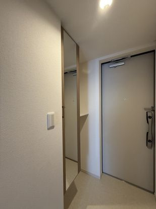 リブリ・アウルのその他