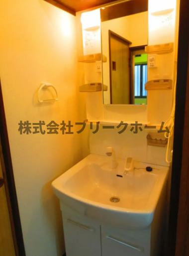コーポスギの独立洗面台