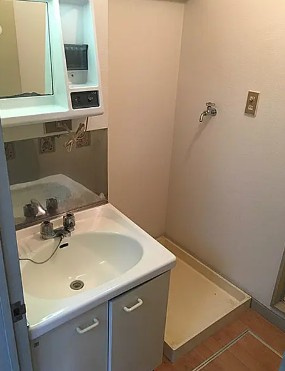 メゾンひまわりの洗面所