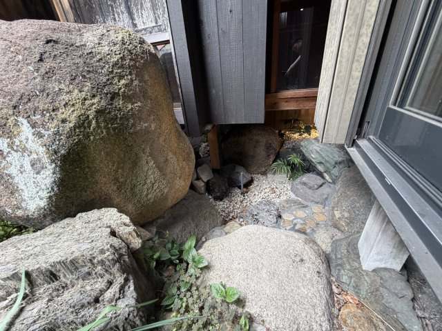 姫路市大野町の一戸建ての庭