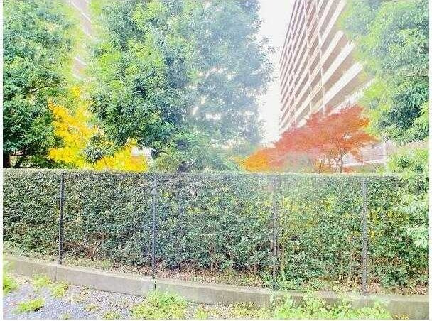【展望】 | ロンサールA棟