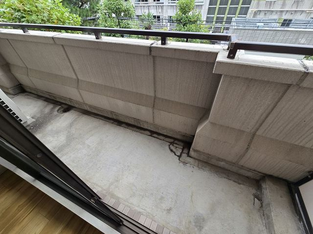 エクセラン・ヴィーのバルコニー