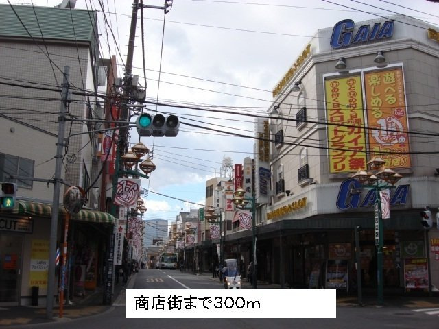 アニュ－グレイス新井薬師の周辺|商店街まで300m