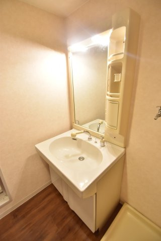 大阪市都島区中野町１丁目の賃貸マンションの洗面所