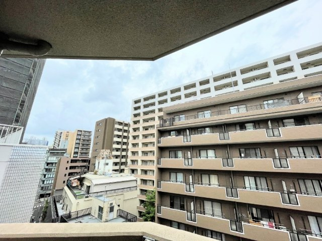 コンシェリア御茶ノ水の展望|※別室参考写真です。