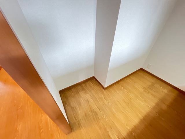アバンサールのその他