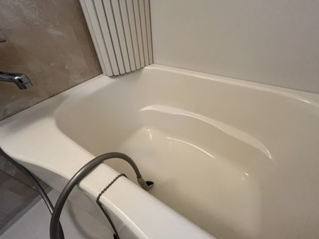 マグノリアのセキュリティ