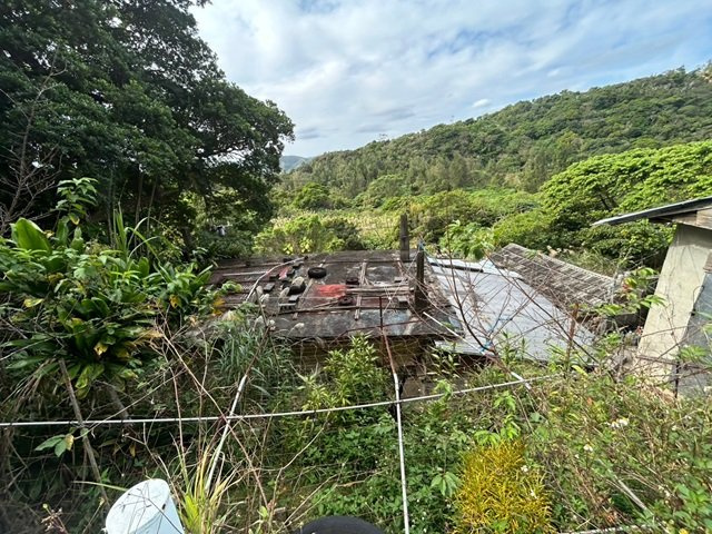 東村村川田土地の周辺