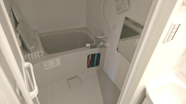 Ｎｏ．８ゼルコバマンションの浴室