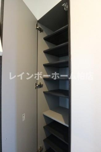特典：仲介手数料が無料です!!の玄関|落ち着いた玄関です