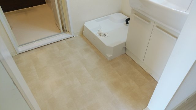 パレッヂ新小岩の洗面所