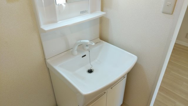 パレッヂ新小岩の洗面所