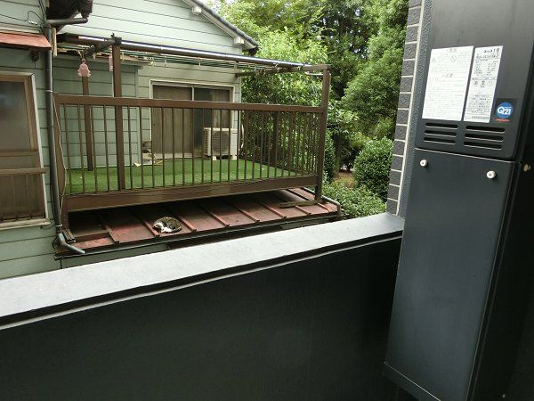 【バルコニー】フェニックス　東高円寺