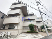 Ivory Alleyの画像