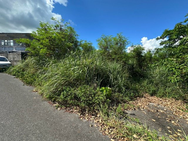 うるま市勝連平敷屋の前面道路含む現地写真|北側の市道（幅員約5m）と現地