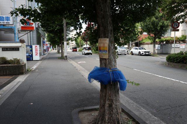 京都一乗寺コーポラスのその他
