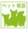【玄関】袋原2丁目アパート新築工事 
