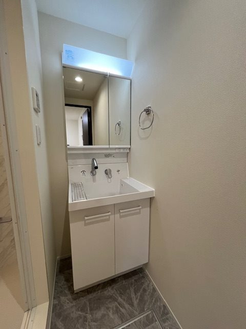 エリシアン三軒茶屋の独立洗面台