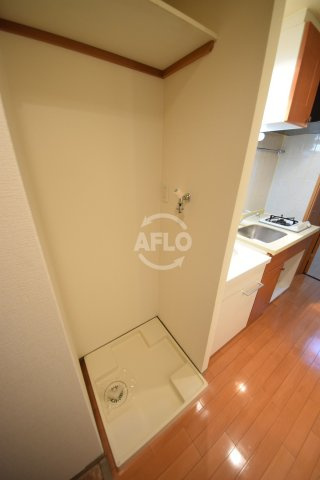 エステムコート心斎橋アルテール　南小学校区の設備|エステムコート心斎橋アルテール　室内洗濯機置場