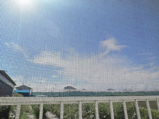 オリーブ館の展望