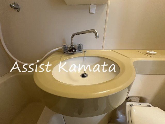 ロイヤルハイツ都南の洗面所