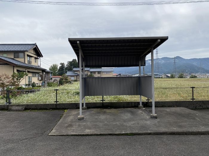 セレーヌスのその他